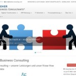 Website von Dreher Business Consulting